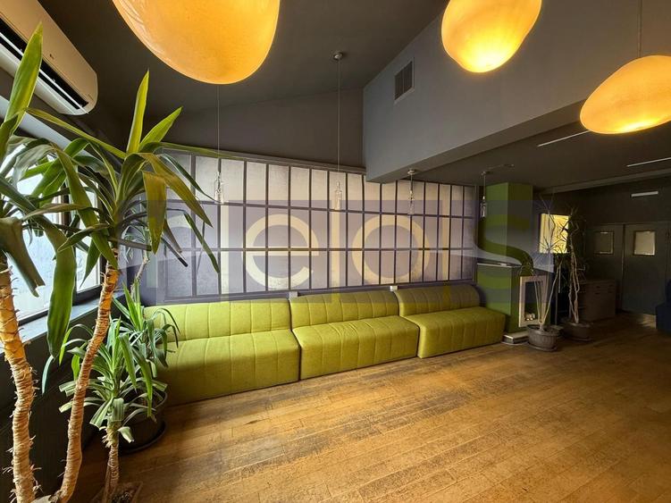 OPORTUNITATE VANZARE - INCHIRIERE VILA RESTAURANT | GRADINA ICOANEI | - 17