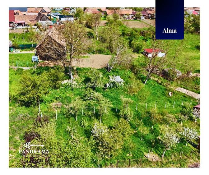 Teren Intravilan cu cabana  in satul transilvanean Alma - 5