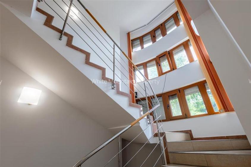 Vila oportunitate, 6 camere, teren 1.000 mp, de vanzare, Snagov - 9