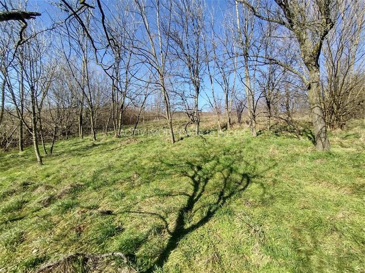 Oravita, Teren Intravilan,  3,8 Euro MP, In Oras, Usor Negociabil - 19