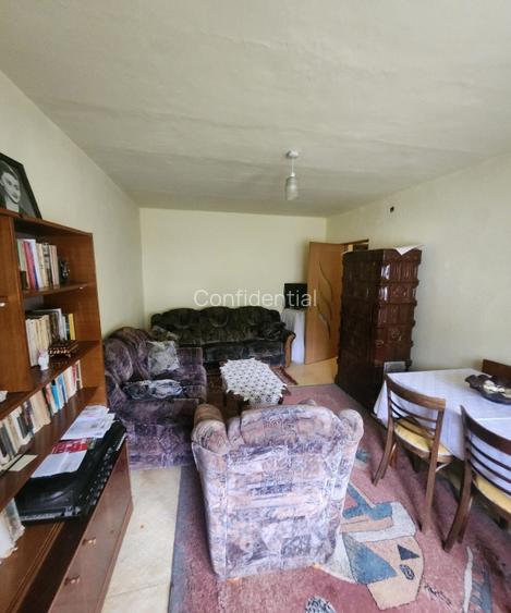 **3 Camere** - Inima Bucovinei - Comuna Vama, Suceava - 8