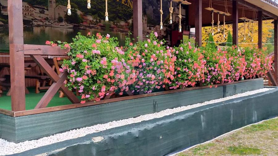 Complex turistic de vânzare, chiar în centrul stațiunii Durău. - 23