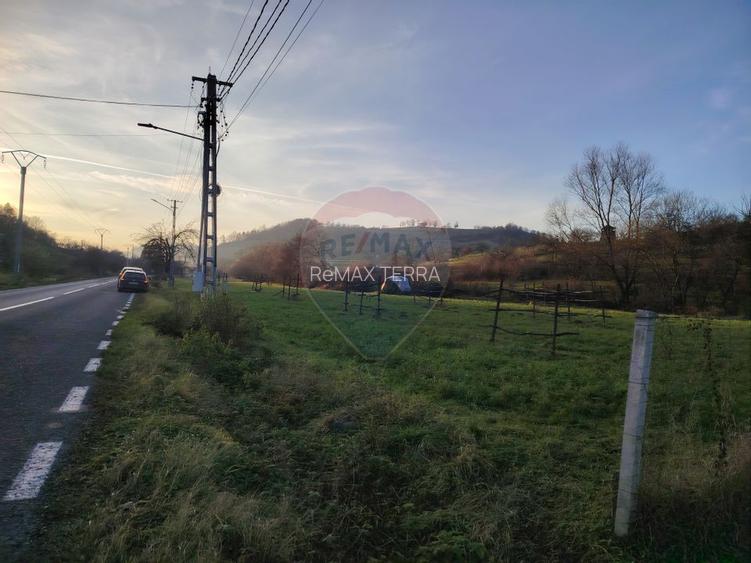 COMISION 0%  Teren intravilan de vanzare in Barsana (26 ARI) - 3