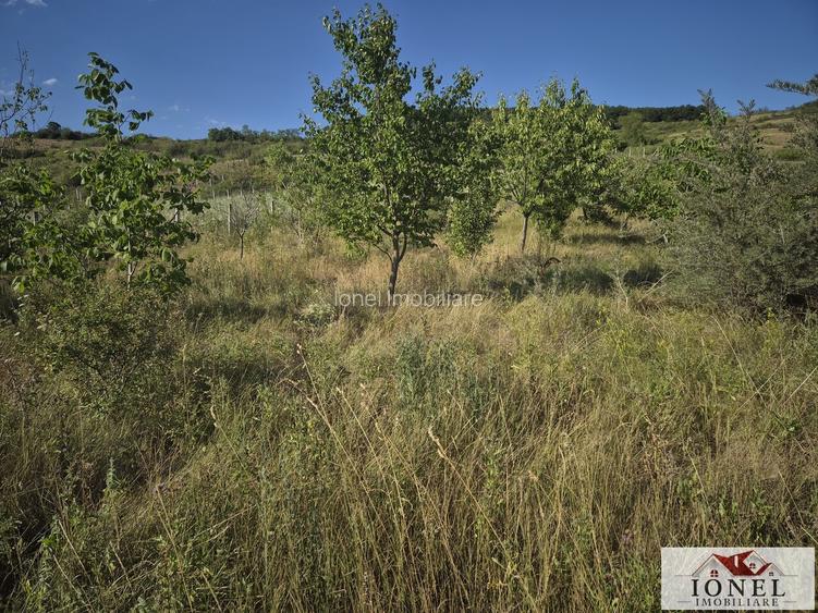 Teren intravilan 2500 mp de vanzare in Ciugud - Teleac - 3