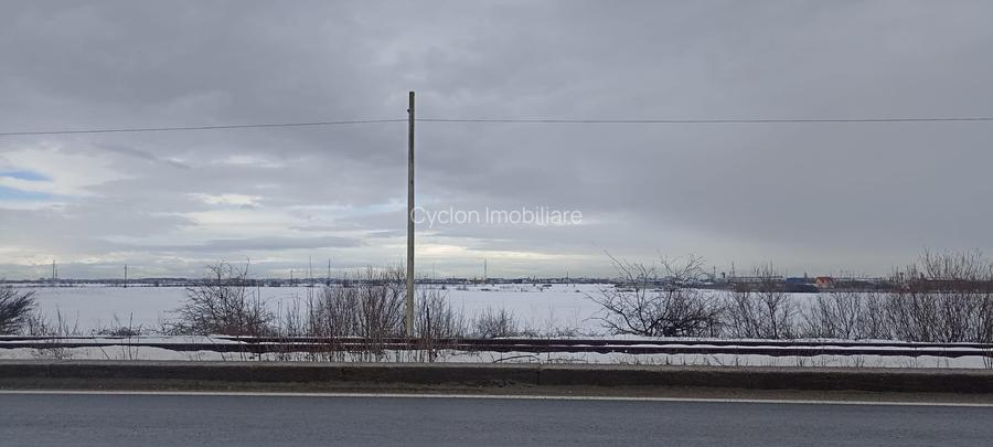 Vanzare teren intravilan 7500 mp/23ml Centura Magurele Ilfov - 4