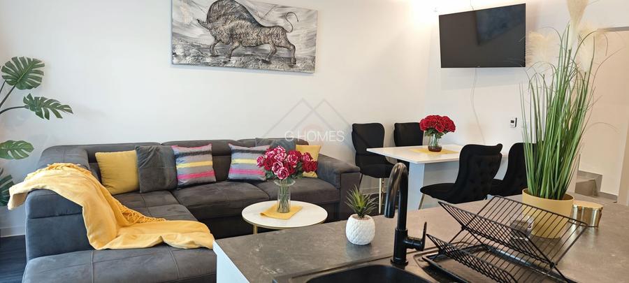 Casa noua, mobilata si utilata, la asfalt, 160 mp. COMISION ZERO! - 25