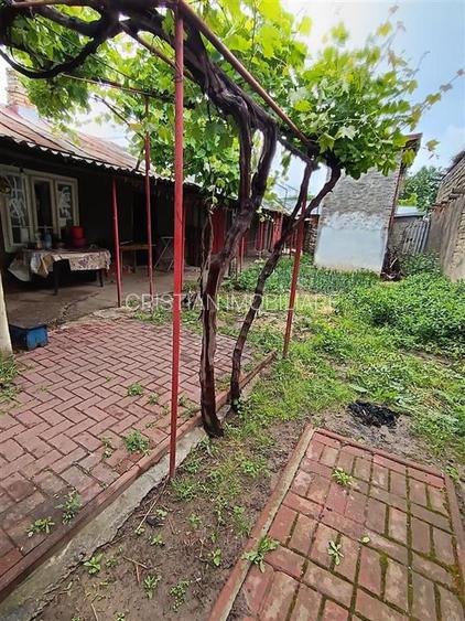 Casa 4 camere, Brailita, Sup Terenului 387 mp - 2