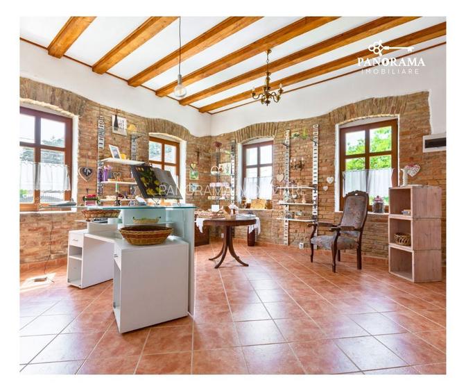 Proprietate cu farmec istoric și potențial turistic in Saschiz - 4