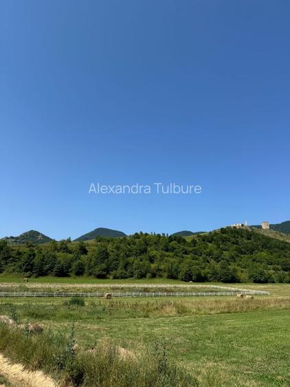 Teren 9000 mp+ platforma betonata 630 mp, Rimetea | Oportunitate dezvoltare - 3
