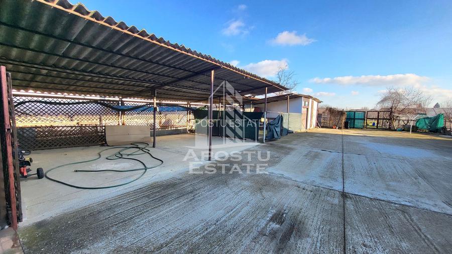 Casa individuala,independenta energetic, 5 camere,teren3783,Peciu Nou - 30