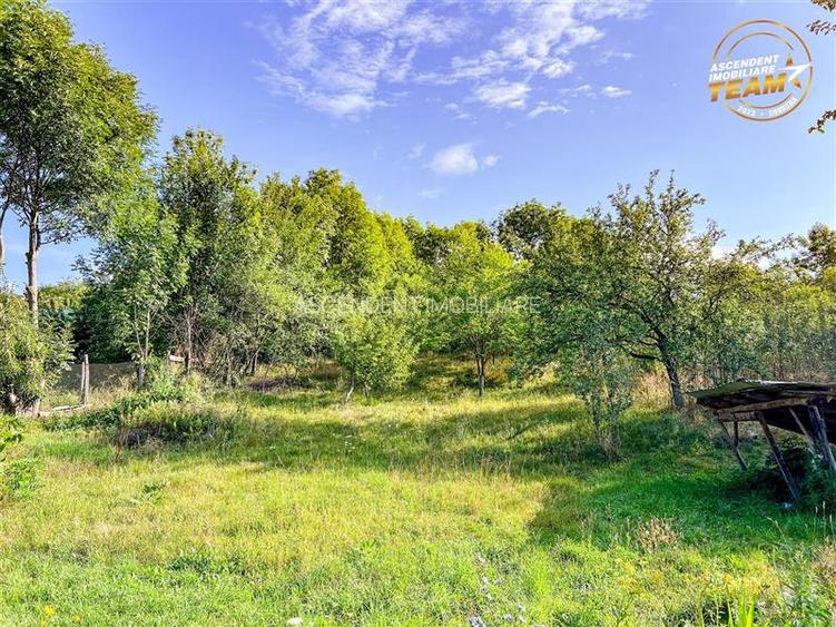 FILM!Areal apreciabil,casa+domeniu de 3.500mp,Sancraiu,vecin Sfantu Gheorghe si - 26
