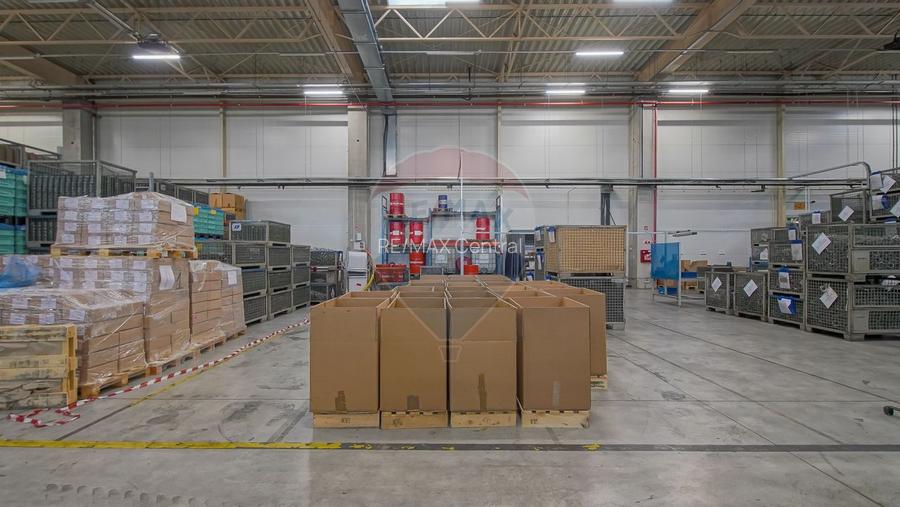 Hală industrială 5.000–12.000 mp de închiriat, Ghimbav - 15