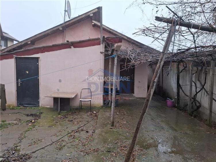 Pantelimon - Tuborg - 8