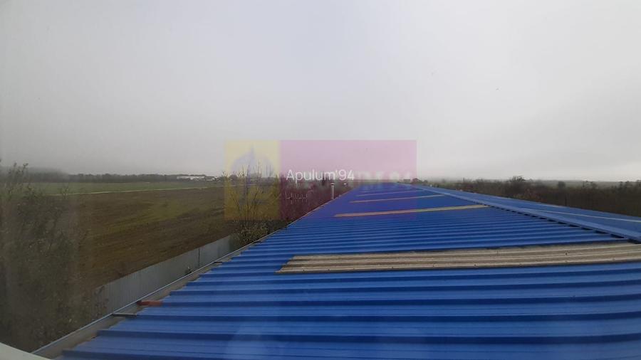 Showroom în Sudul Bucureștiului - 16