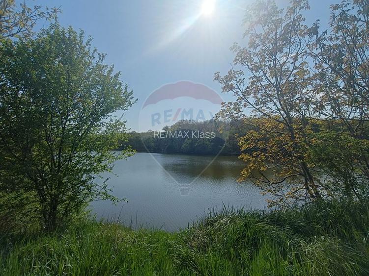 Vanzare Teren Constructii Langa Lac și Padure | Branesti | Ocazie! - 2