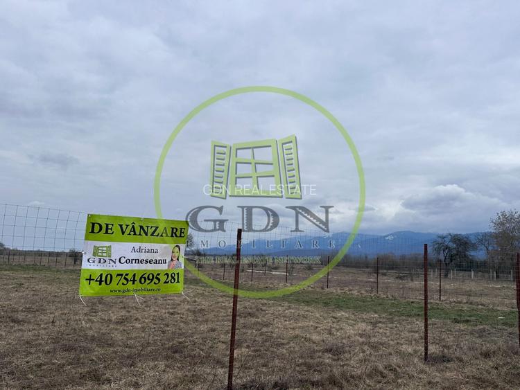 Exclusivitate! Teren intravilan, ttrifazic 44kw, urbanism, toate avizele luate! - 8