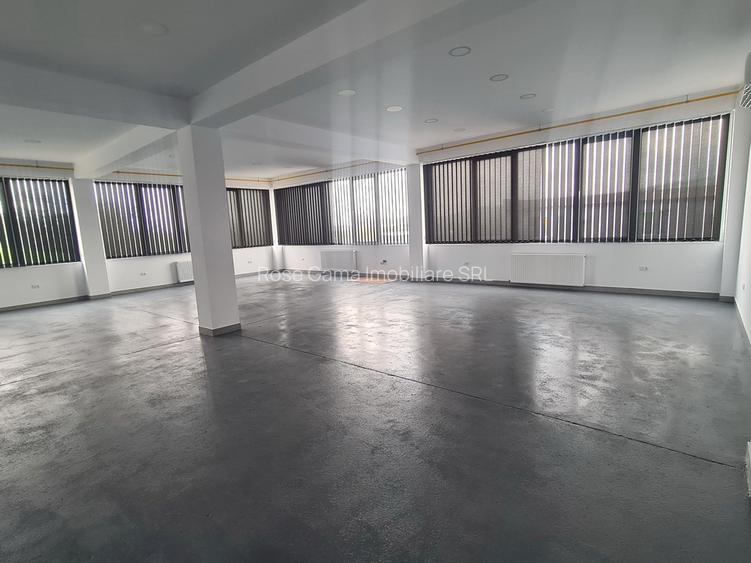 Spațiu birouri / depozitare / producție ușoară – Tătărași, Aurel Vlaicu - 4