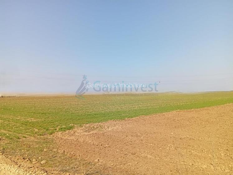 Teren de vanzare in Biharia, cu o suprafata de 20000 mp intravilan - 4