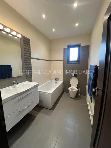 Dimitrie Leonida Metrou - 20