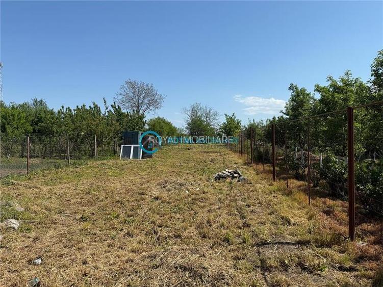 Royal Imobiliare - Vanzare Casa zona Barcanesti - 5