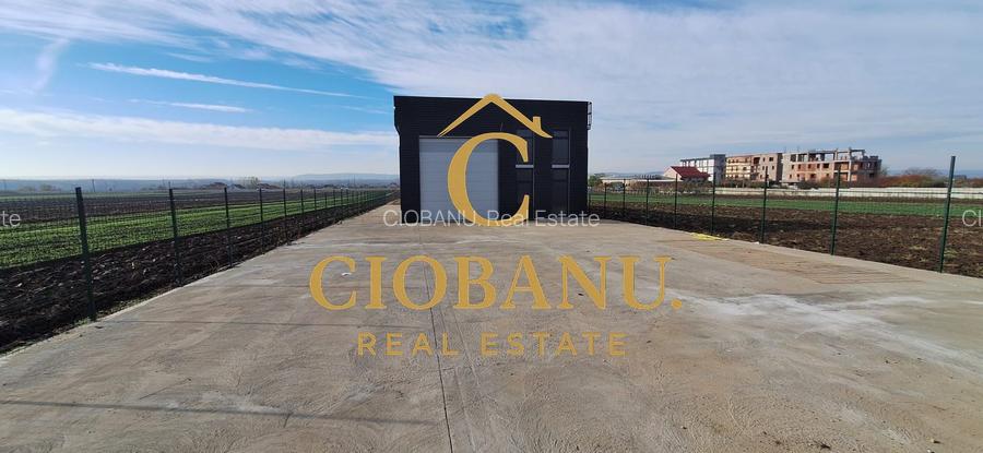 Hala de vanzare in Racari de Jos - 17