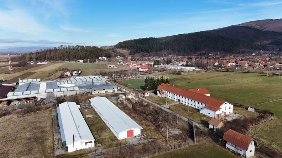 Teren industrial 1.729 mp I Demolare + construcție hală Teliu - 5