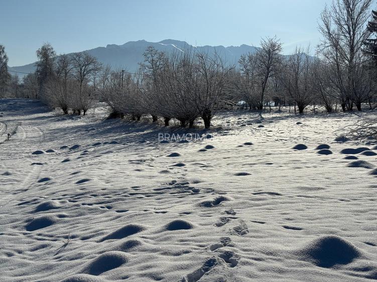 Teren intravilan loturi intre 500 si 1000 m la 14 km de Rasnov - 7