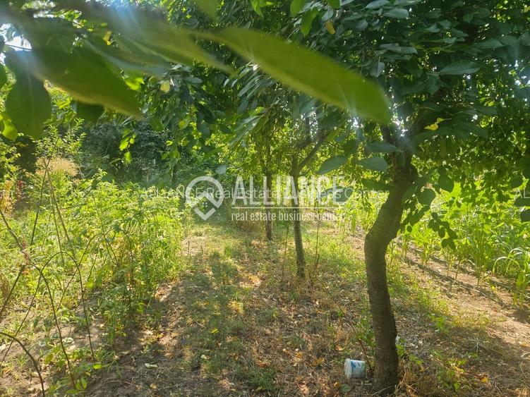 ISTRIA (COD04)-Teren intravilan 1528 mp-Constanta - 4