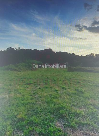 TEREN INTRAVILAN CU PUZ\ 704 MP\CARANSEBEȘ\ ZONA TEIUȘ - 2