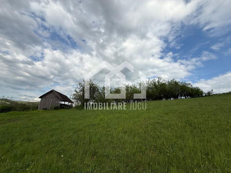 Teren intravilan construibil – 2.100 mp | Căianu - 5