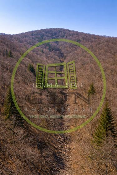 Pădure de vânzare în Scheii Brașovului 2 hectare de natură Brașov Schei - 10