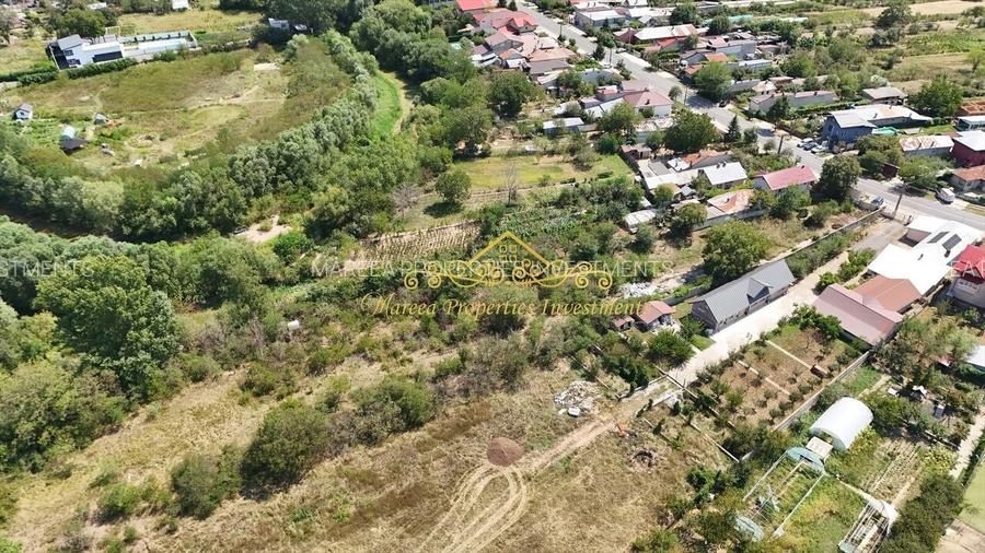 Teren Domnesti Vladimirescu, langa raul Ciorogarla - 4