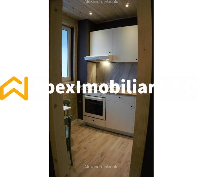 Apartament 2 camere de inchiriat 1 Mai București | ApexImobiliare.ro - 10