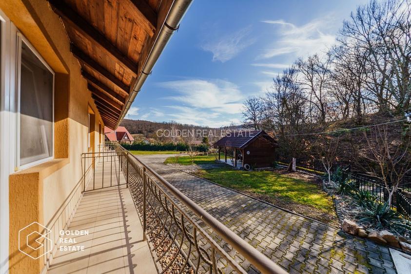 Proprietate pretabila pentru afacere, Cladova - 32