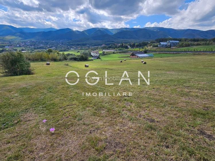 Teren Tocile (parcelabil) 3500 mp  - 3