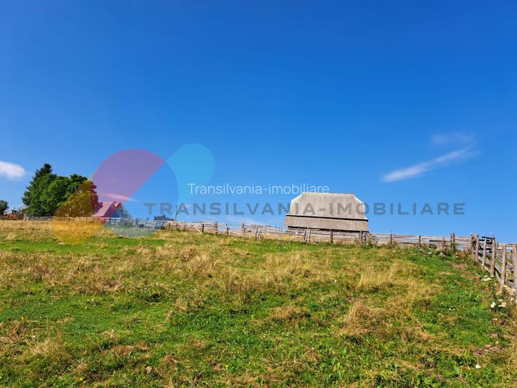 Teren Intravilan 1587 mp, Localitatea Maguri-Racatau - 3