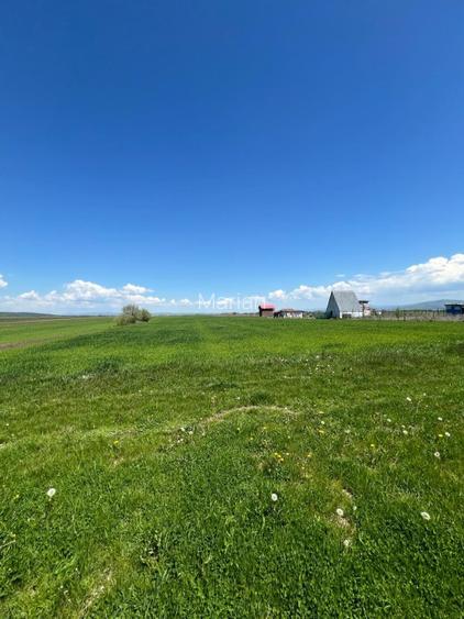 TERENURI EXTRAVILANE ÎN DOBOLII DE JOS, JUDEȚUL COVASNA - 3