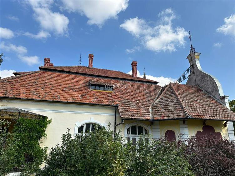 Conac Unicat Timis - 18