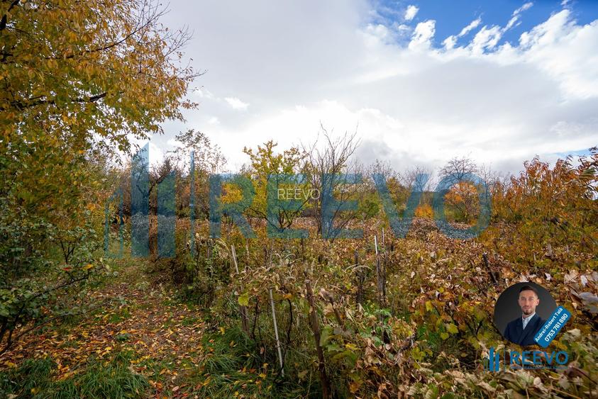 Casa de vânzare, strada Paun Pincio nr. 5, Moinești - 41