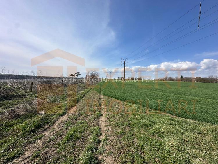 Teren, 18.000 mp, DN -Statia Meteo spre Valu lu Traian - 2