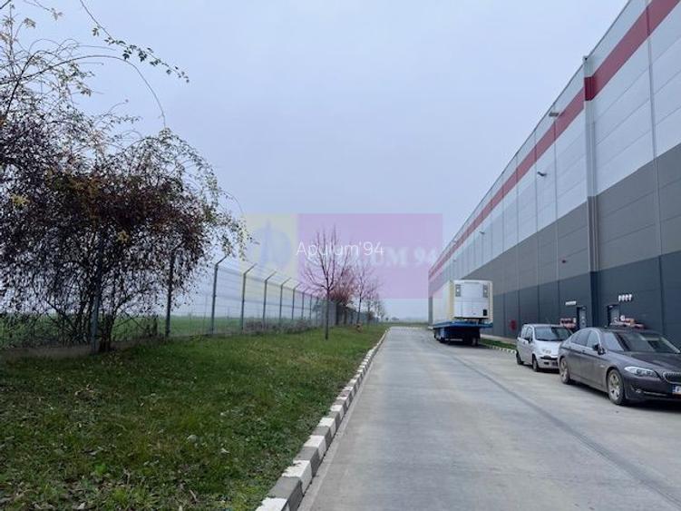 Teren Domnesti- Depozit Altex, Emag. - 6