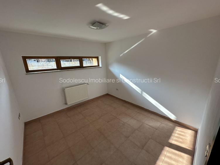 Proprietate cu piscina Dumbravita - 46