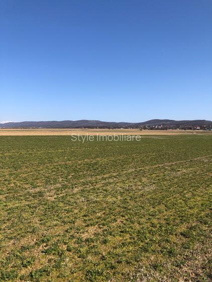 Teren 4.000mp strategic langa Pentarom & Dacia-Renault l Acces DN73 - 18