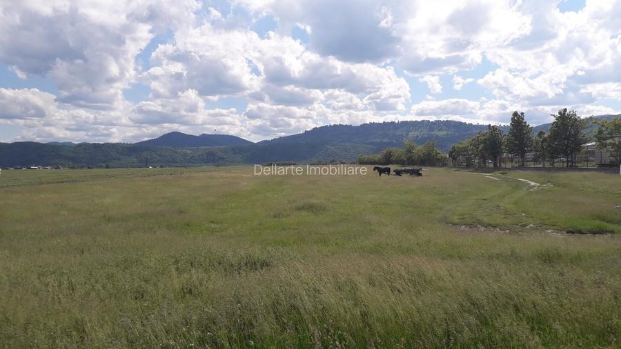 Teren intravilan 8900 mp,Dumbrava Rosiejud Neamt - 7