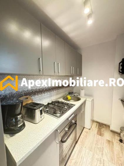 Garsoniera de inchiriat Teiul Doamnei București | ApexImobiliare.ro - 4
