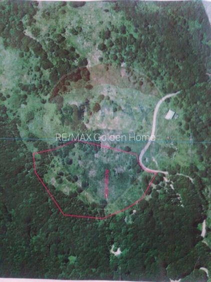 Teren Lepsa Soveja DN2 L - 3