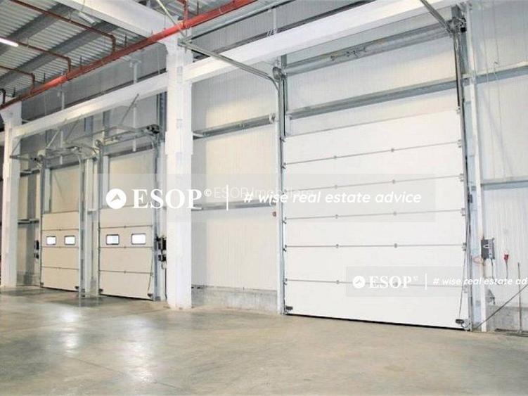 Logicor Mogosoaia, hale pentru depozitare, productie, 2.000 - 23.000mp - 4