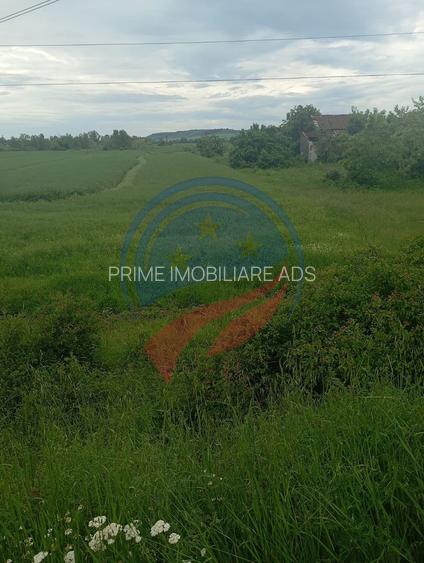 Teren 7140 mp de vanzare Murgasi - Oportunitate  investiție - 3
