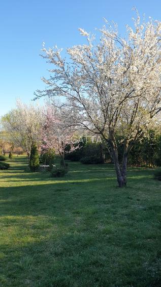 VILA IMPRESIONANTA CU ACCES LA LAC si PISCINA - 22