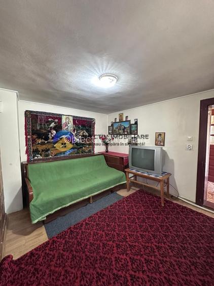 Casa tradițională de vânzare - Alexandru cel Bun - 14